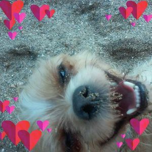 Meet your Posher, Serena